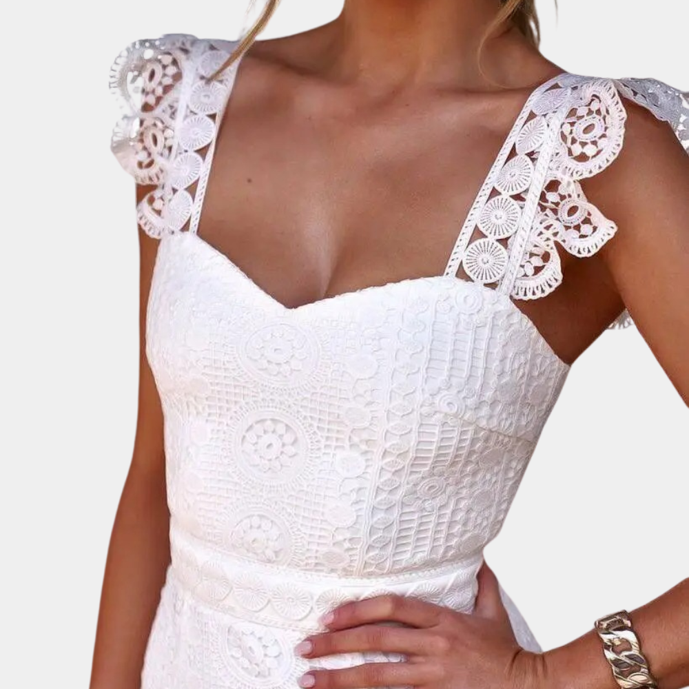 Elegant and stylish lace ladies dress