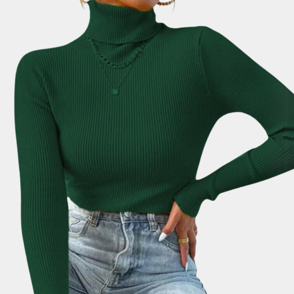 Luxurious turtleneck sweater for women